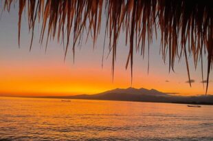 Star Bar and Bungalows