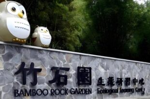 Sun Moon Lake Bamboo Rock Garden
