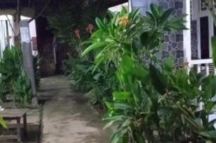 Syifa Homestay
