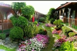 Taitung Garden Cabin