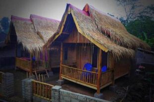 Tereng Wilis bungalows