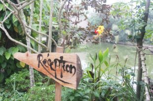Thai Binh Garden