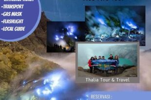 Thalia Homestay & Ijen Bromo Tour