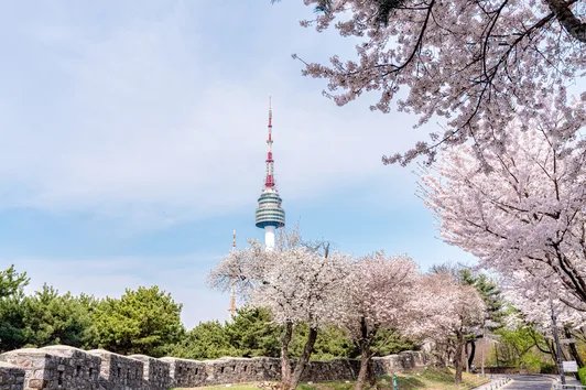 Tháp N Seoul kèm Vé Cáp Treo Namsan