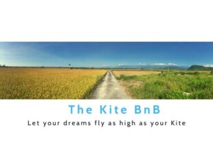 The Kite