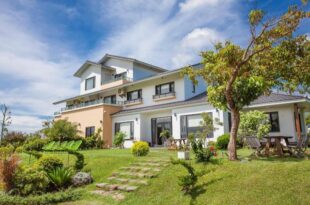 The Tree Bed and Breakfast