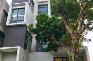 Tree House