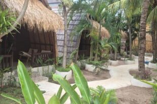 Tricky Trees Sunset Bungalows