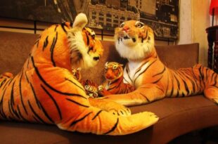 Triple Tiger Hostel