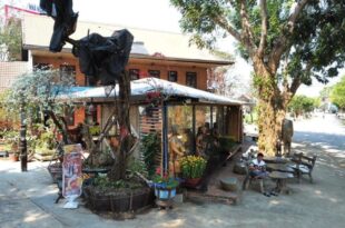 Van Long Lakeside View Guesthouse