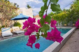 Villa Aurora: 4 BR, Front Beach