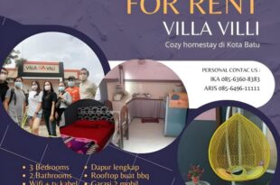 villa villi