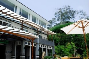 Zen and Pine Resort