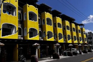 Zhiben Sunflower Bed and Breakfast