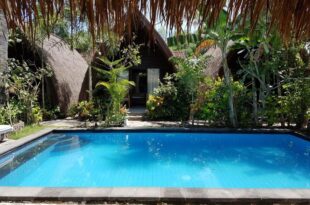 Zipp Bar Restaurant & Bungalows