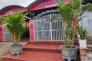 Lavender Garden Guest House