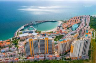 Luna Sol Sunset & Firework Signature