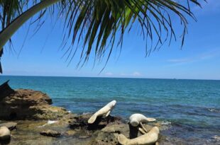 Respect Homestay Phu Quoc