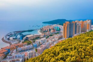 Skywave Apartment Firework Delight