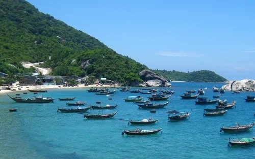 Tour Ngày Cù Lao Chàm từ Hội An và Đà Nẵng