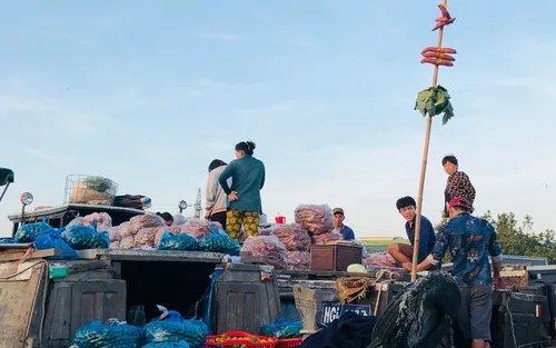 Tour nửa ngày Chợ nổi Cái Răng Cần Thơ & Nông trại Cacao