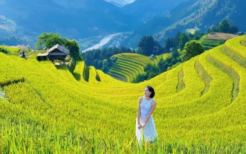Tour Sapa Scenic Relax: Thung lũng Mường Hoa & Tả Van (Dễ, Không đi bộ đường dài)
