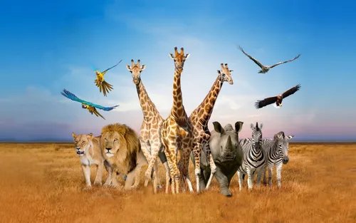 Vé Safari World Bangkok