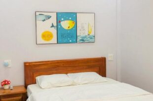 Sohi Homestay