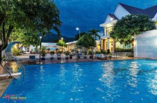 gold star homestay